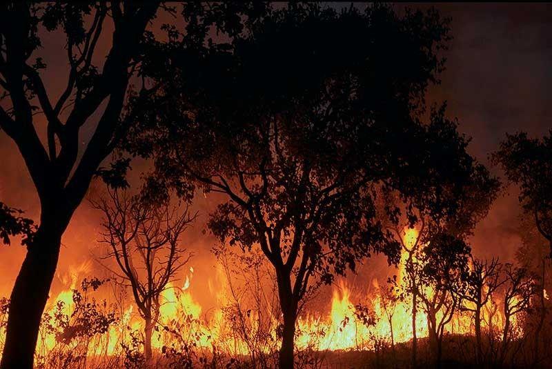 Fogo destrói roças e coloca comunidade indígena em situação de emergência