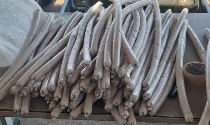 Carga com 1 tonelada de explosivos e 100 kg de mercúrio é apreendida perto de Rondônia