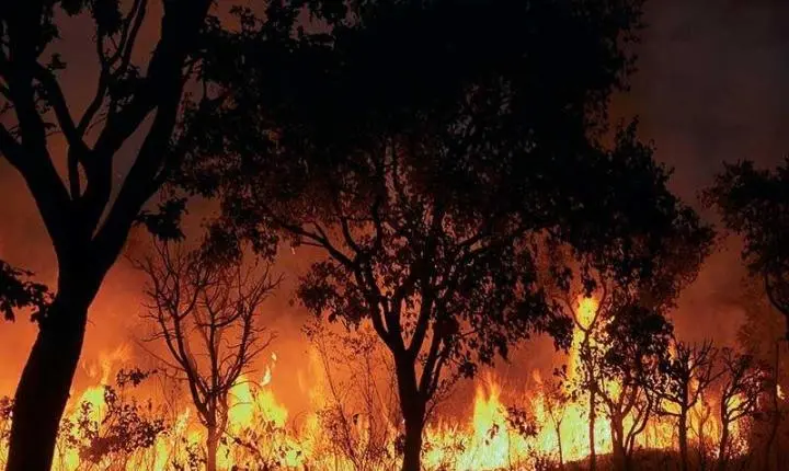 Fogo destrói roças e coloca comunidade indígena em situação de emergência