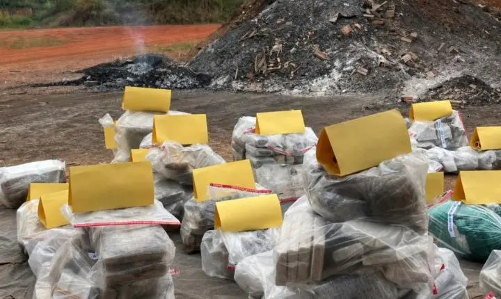 Mais de 645 quilos de drogas são destruídos pela Polícia Civil