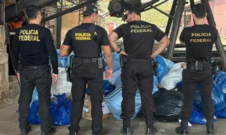PF destrói 839 kg de drogas apreendidas em ações contra o tráfico